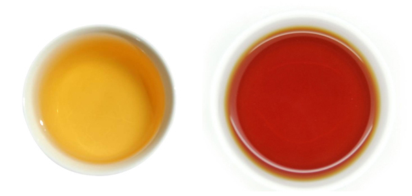 普洱茶生茶和熟茶如何区分? 普洱茶生茶和熟茶如何区分?