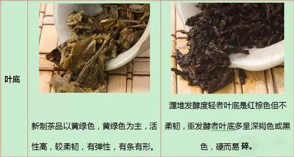 当年普洱生茶与熟普洱茶对比表