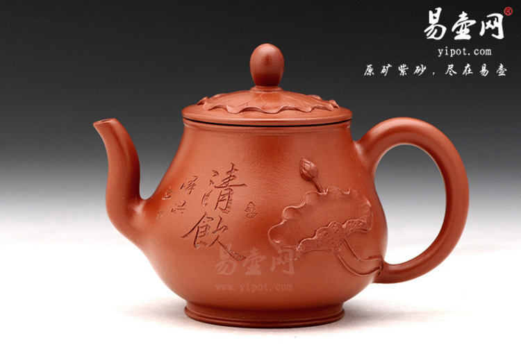 【荷花】宜兴紫砂壶名家 范泽洪紫砂壶作品 原矿朱泥