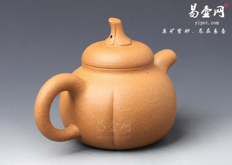 【金瓜】宜兴紫砂壶名家 陈顺培紫砂壶作品 原矿段泥