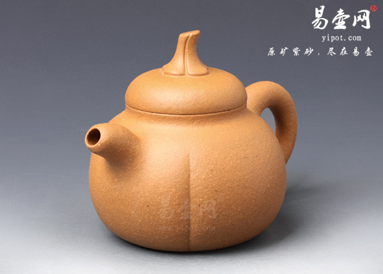 【金瓜】宜兴紫砂壶名家 陈顺培紫砂壶作品 原矿段泥