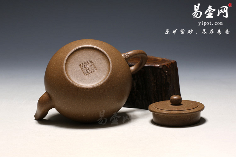 【平盖莲子】宜兴紫砂壶名家 蒋秀娟紫砂壶 原矿段泥