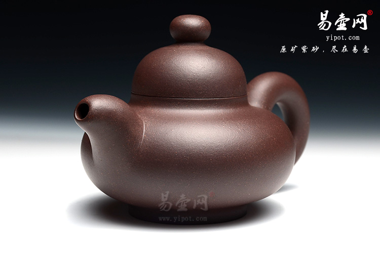 宜兴紫砂壶名家：徐俊英圆韵壶图片