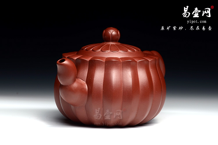 紫砂壶名家：冯盘军紫砂壶蜂菊图片