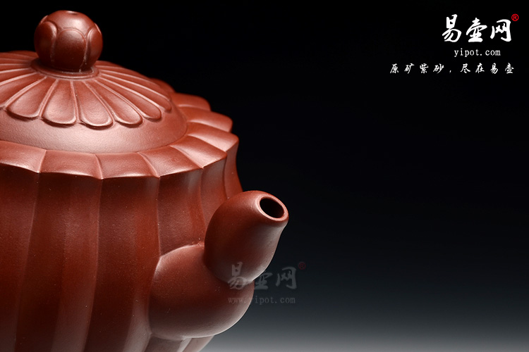 紫砂壶名家：冯盘军紫砂壶蜂菊图片