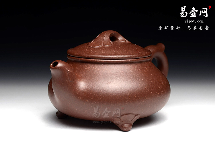 叶宇静凤鸣壶图片 叶宇静凤鸣壶图片