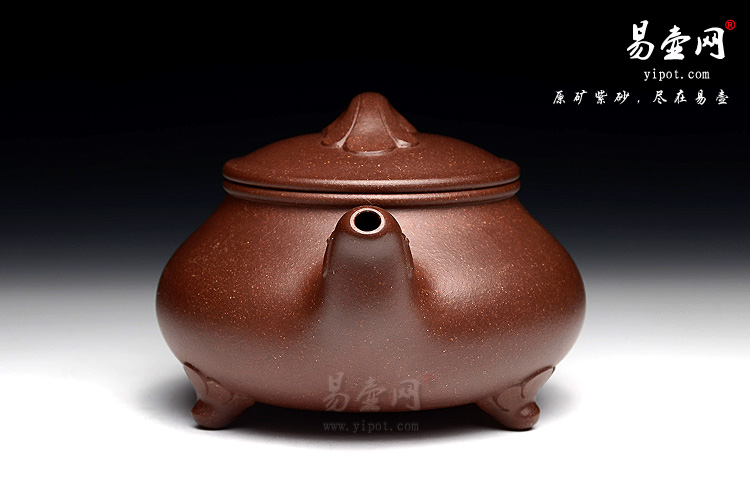 叶宇静凤鸣壶图片 叶宇静凤鸣壶图片