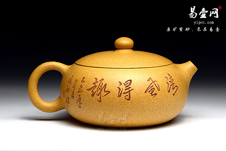 杨立平扁西施壶图片