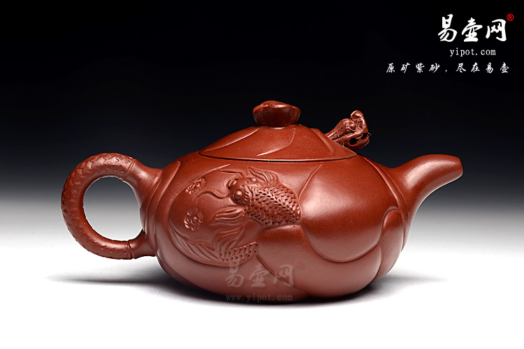 周小华鱼化龙图片