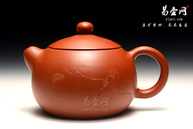 高工王品荣西施壶，经典朱泥小壶，把玩小壶，朱泥紫砂壶如何开壶