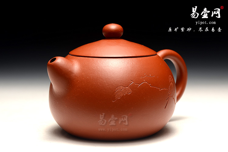 高工王品荣西施壶，经典朱泥小壶，把玩小壶，朱泥紫砂壶如何开壶