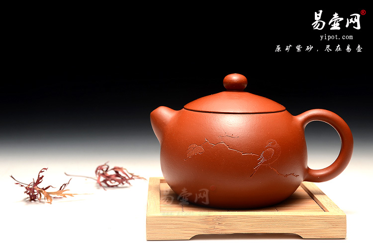 高工王品荣西施壶，经典朱泥小壶，把玩小壶，朱泥紫砂壶如何开壶