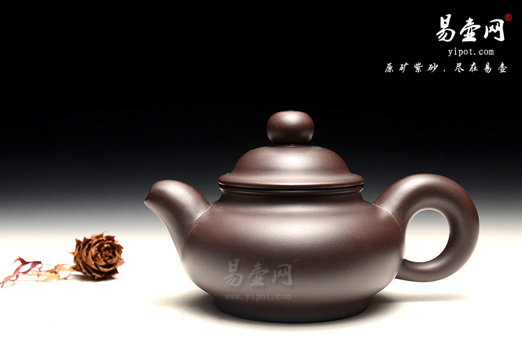 宜兴紫砂陶艺名家：徐俊英扁灯壶图片