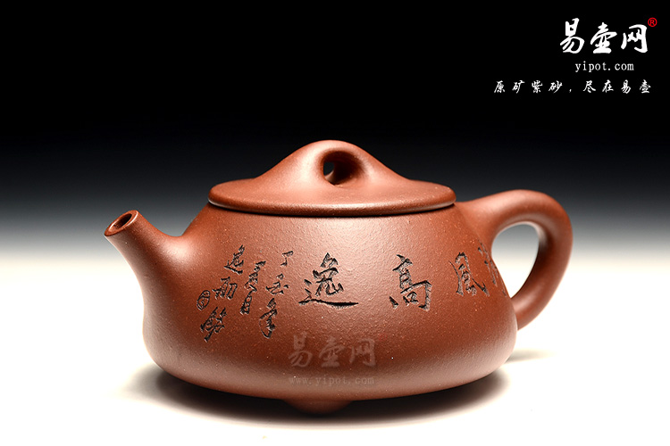 许俊紫砂壶艺术，底槽清紫砂茶壶，石瓢壶图片