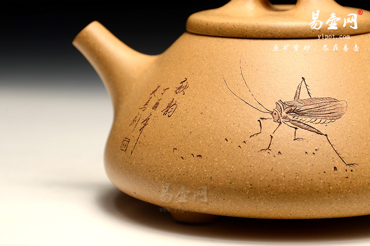 宜兴紫砂壶茶壶，王亮紫砂壶，石瓢壶图片，段泥紫砂壶茶具