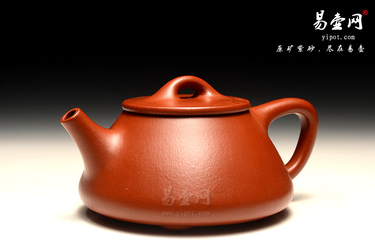 杨尚坤石瓢壶图片