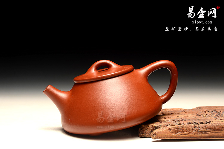 杨尚坤石瓢壶图片