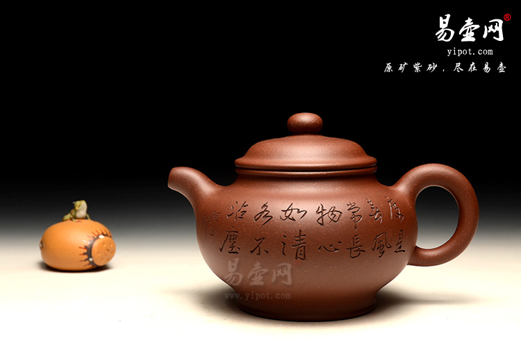 余潇掇只紫砂壶图片