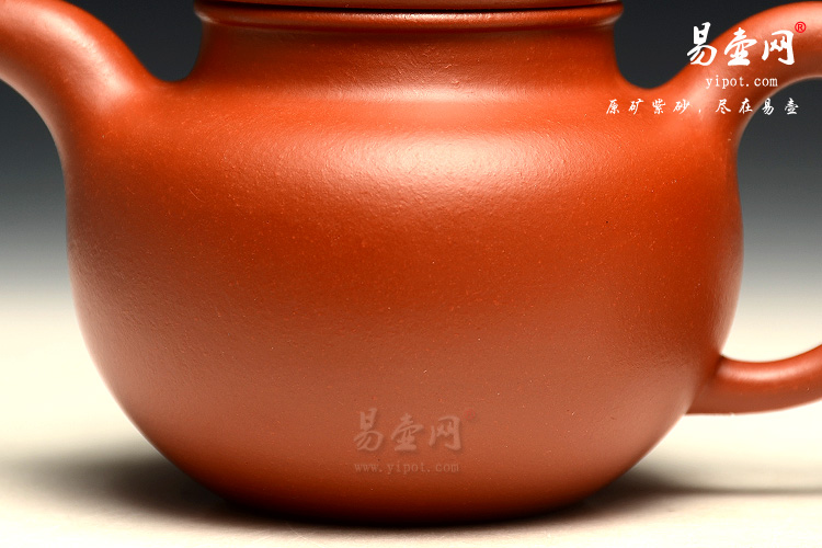 赵庄朱泥掇球紫砂壶图片