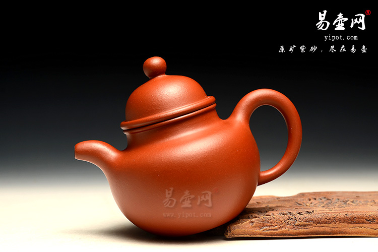 赵庄朱泥掇球紫砂壶图片