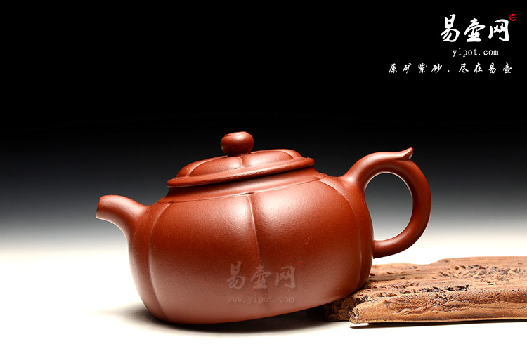 【半菊壶】宜兴紫砂壶 赵松亭后人 赵丽娟之子 王亮紫砂壶 精品大红袍